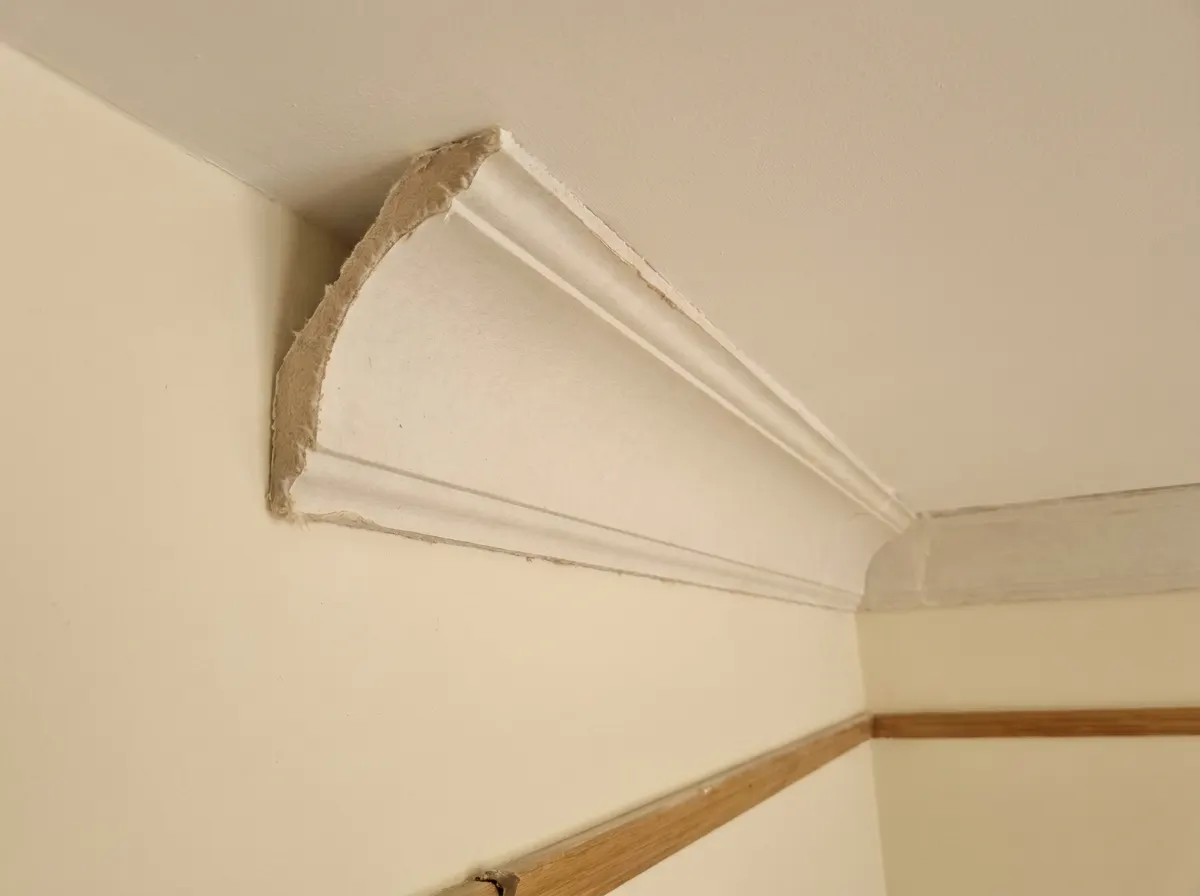 Standard paper faced gypsum plaster coving profile