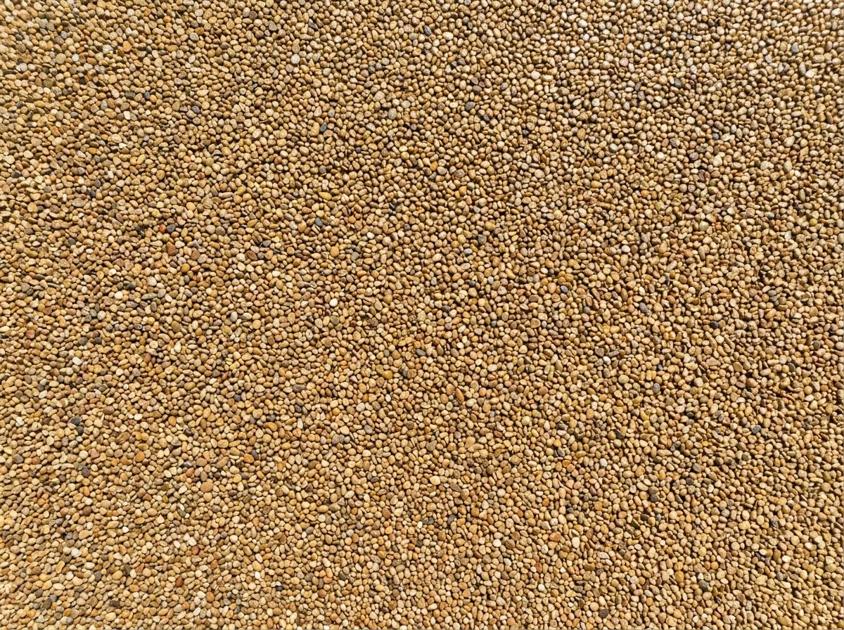 Seamless resin bound gravel driveway