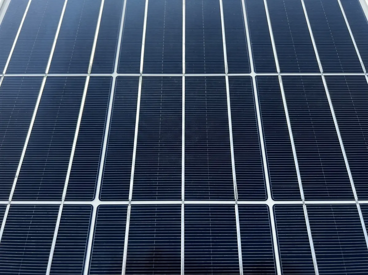 Standard monocrystalline solar panels with visible silver grid lines